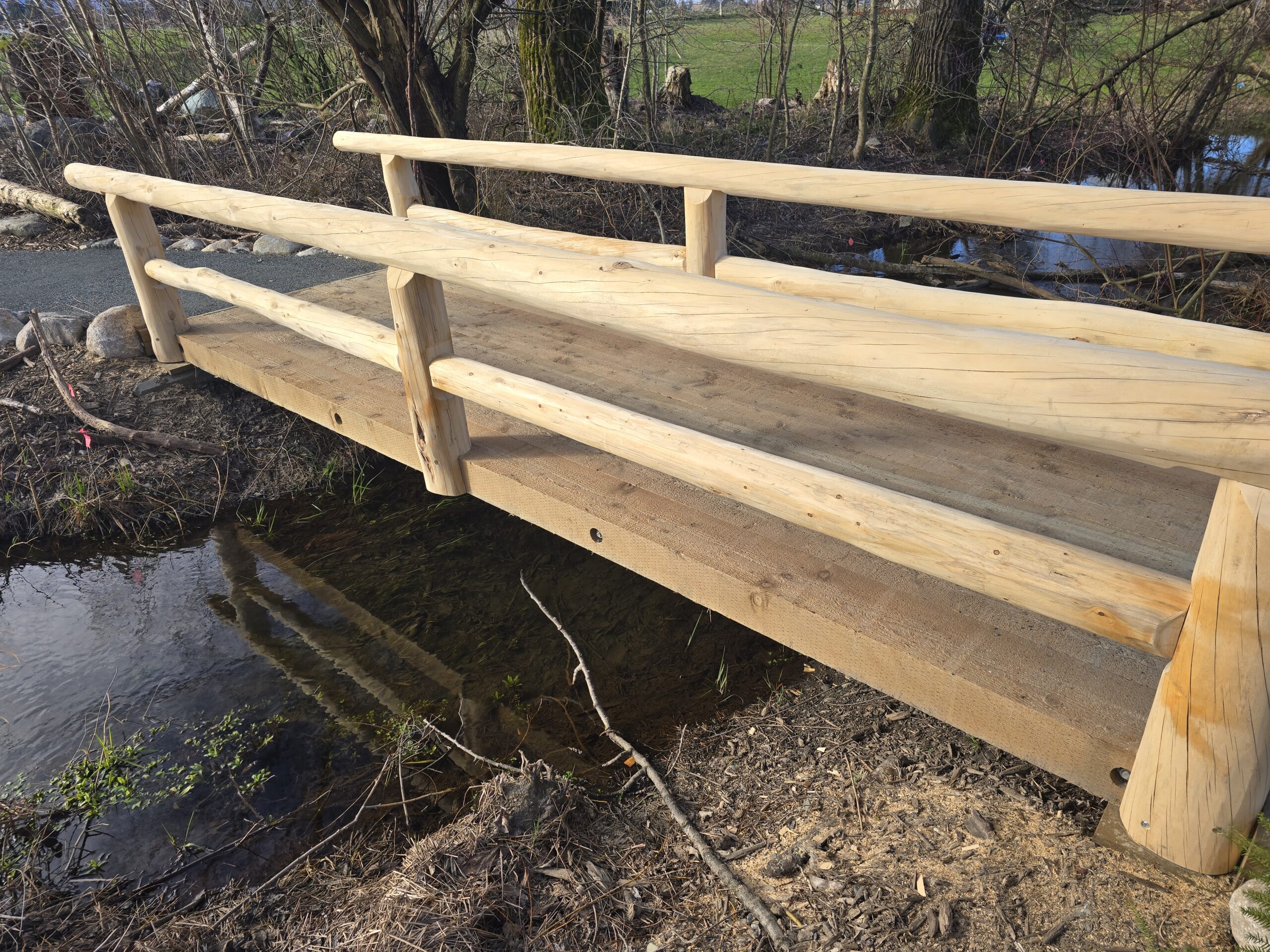 Timber Check Bridge Timber Bridge with special Yellow Cedar log handrails | Industrial ...